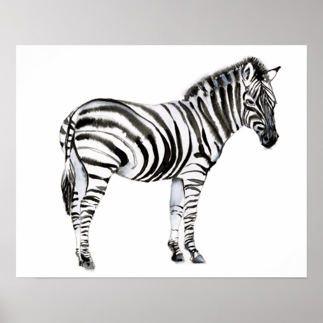 Standing Zebra Poster (Front)