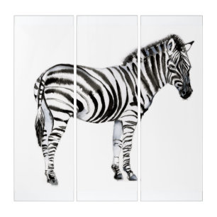 Standing Zebra Triptych