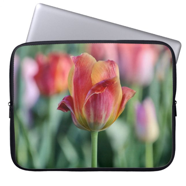 Standout Tulip Laptop Sleeve (Front)