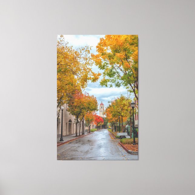 Stanford Campus in Autumn Canvas Print (Front)