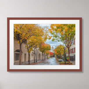 Stanford in Autumn Framed Art
