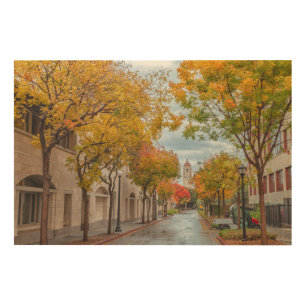 Stanford in Autumn Wood Wall Art