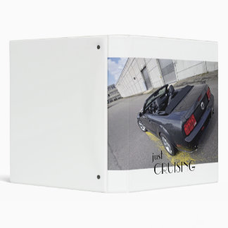 Stang GT Cabrio -just cruising- Binder