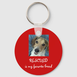 Stanley Arnold Key Chain! Keychain