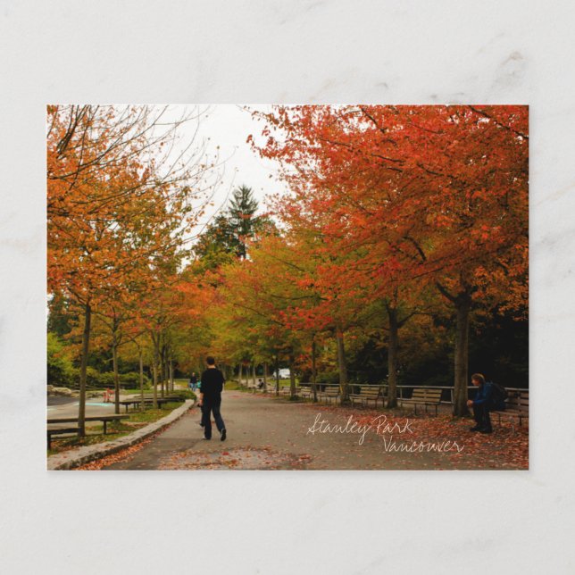 Stanley Park Postcard (Front)