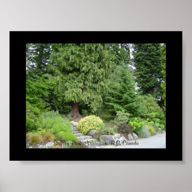 Stanley Park, Vancouver B.C. Poster (Front)