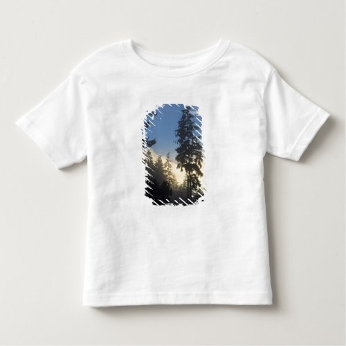 Stanley Park woods marine layer fog rolling in Toddler T_shirt