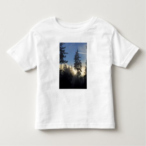 Stanley Park woods marine layer fog rolling in Toddler T_shirt
