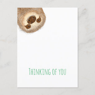 Stanley sloth thinking of you postcard