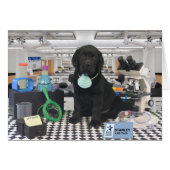 Stanley week 8 (Front Horizontal)