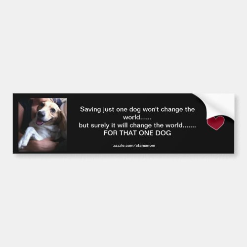 Stans world bumper sticker bumper sticker