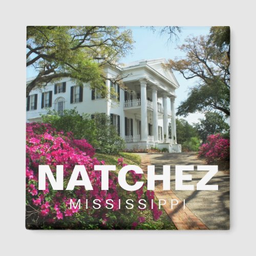 Stanton Hall Natchez Mississippi souvenir magnet