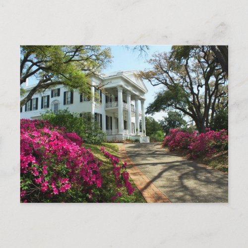 Stanton Hall _ Spring in Natchez Mississippi Postcard