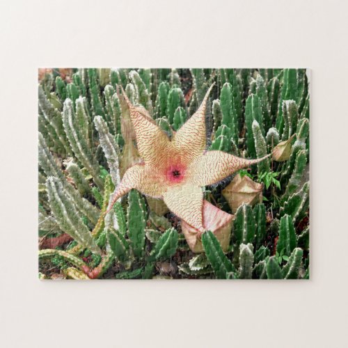 Stapelia Starfish Cactus Flower Photo Jigsaw Puzzle