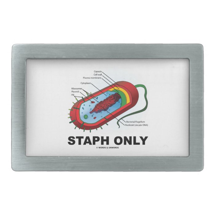 Staph Only (Bacterium Diagram Prokaryote Bacteria) Rectangular Belt Buckle