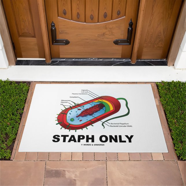Staph Only Bacterium Diagram Prokaryote Bacteria Doormat (Outdoor)