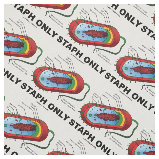 Staph Only Bacterium Diagram Prokaryote Bacteria Fabric (Swatch)