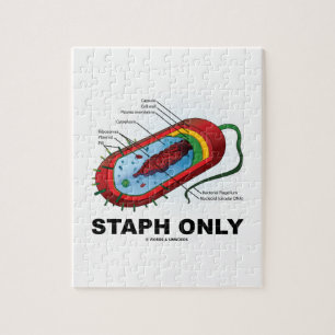 Staph Only (Bacterium Diagram Prokaryote Bacteria) Jigsaw Puzzle