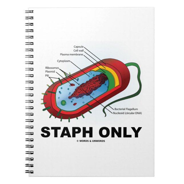Staph Only (Bacterium Diagram Prokaryote Bacteria) Notebook (Front)