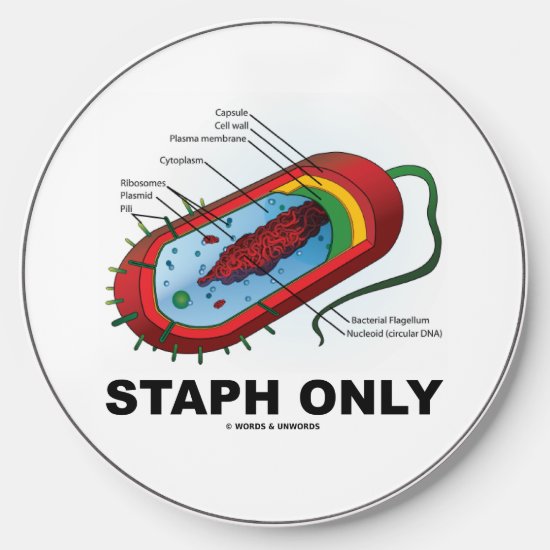 Staph Only Bacterium Diagram Prokaryote Bacteria Wireless Charger