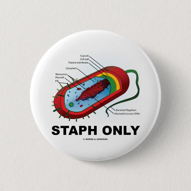 Staph Only (Prokaryote Health Medicine Humor) Button (Front)