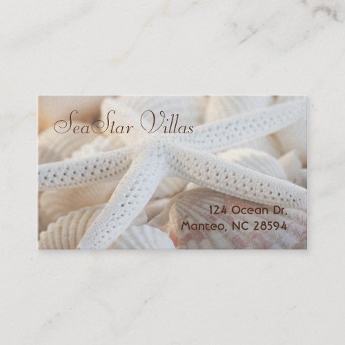 Star Among Shells Business Card Templates