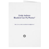 Star and Moon Balloons! (Back)