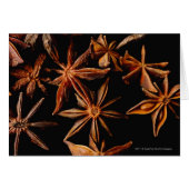Star anise (Front Horizontal)