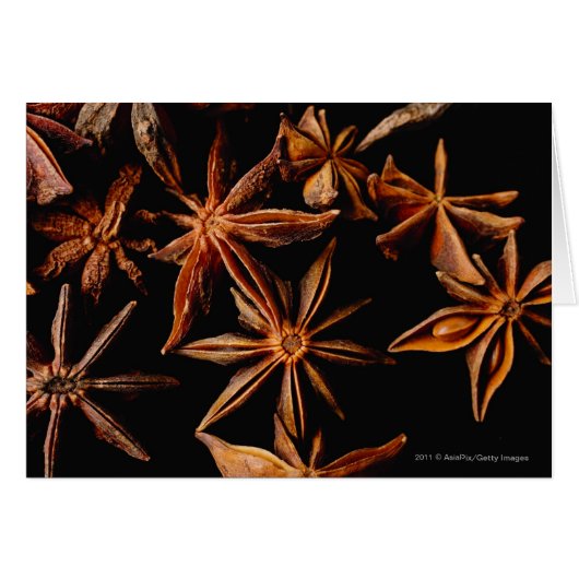 Star anise cards (Front Horizontal)