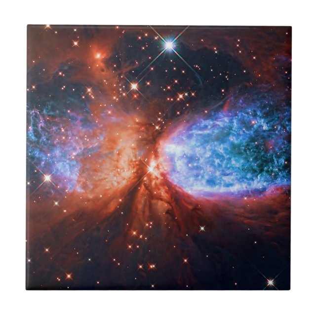 Star Birth in Constellation Cygnus, The Swan Tile (Front)