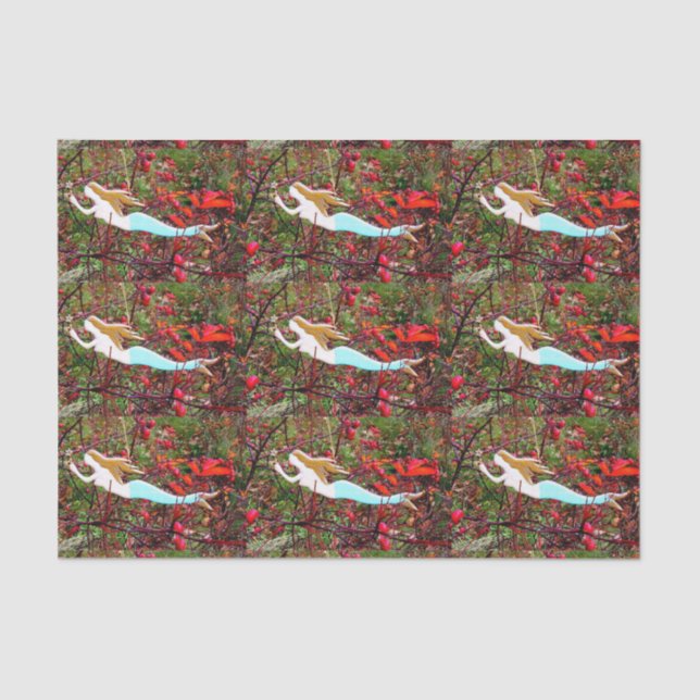 star carrying mermaids tissue paper (Front)