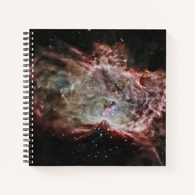 Star Clusters In The Center Of The Flame Nebula. Notebook (Front)