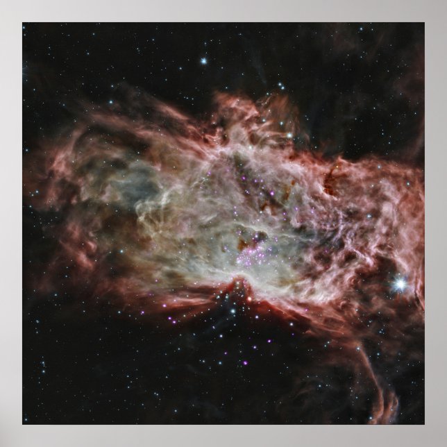 Star Clusters In The Center Of The Flame Nebula. Poster (Front)