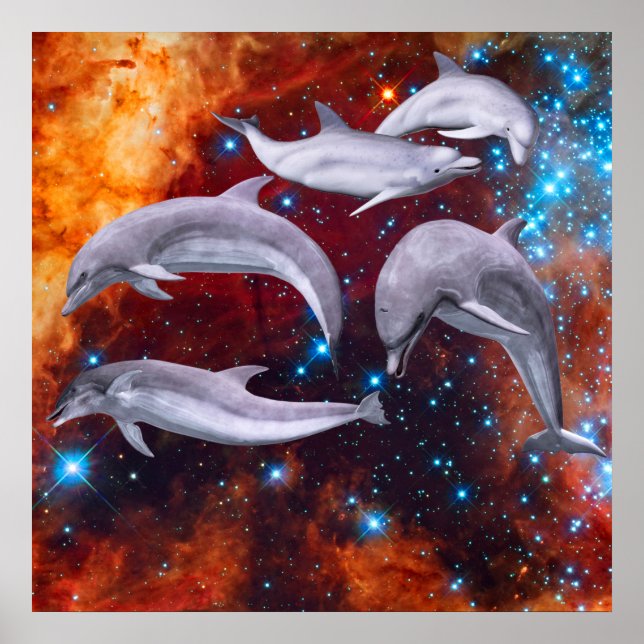 Star Dolphins Poster (Front)