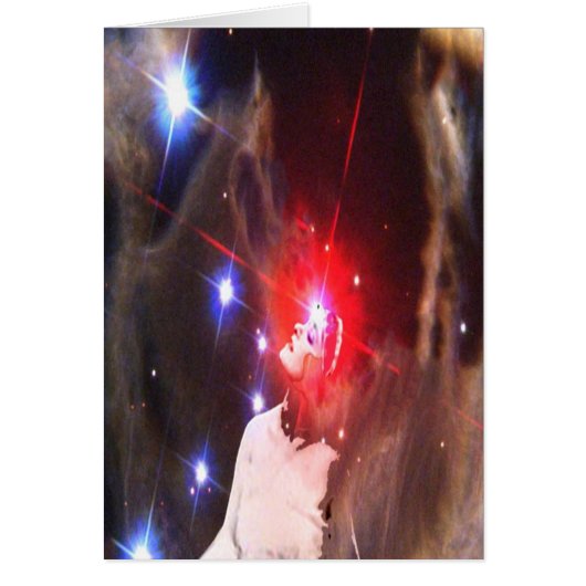 Star Dreamer Cards (Front)