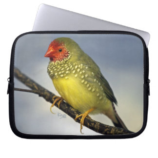 Star Finch Laptop Sleeve