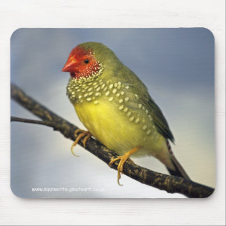 Star Finch Mousemat Mouse Pad