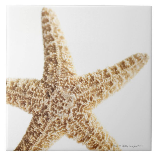 Star fish ceramic tile (Front)