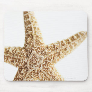 Star fish mouse pad