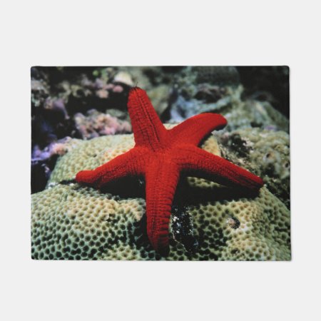 Star Fish | Red Sea Doormat