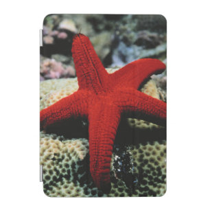 Star Fish   Red Sea iPad Mini Cover