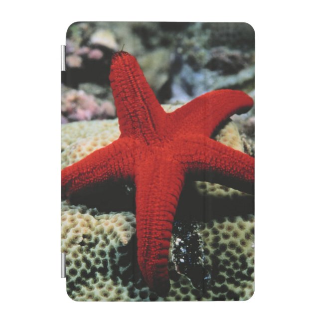 Star Fish | Red Sea iPad Mini Cover (Front)