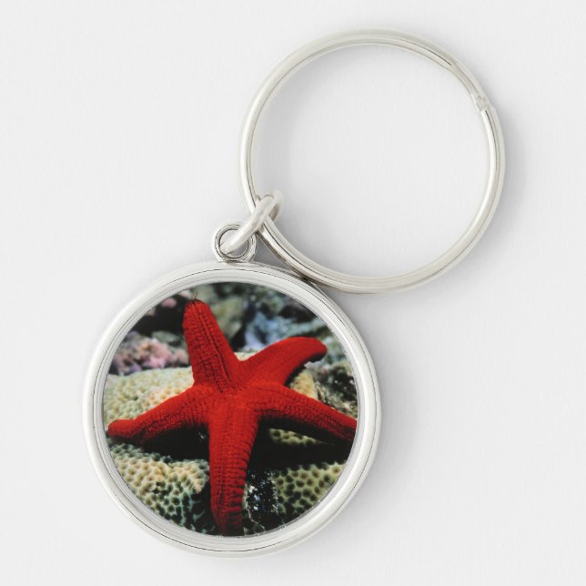 Star Fish | Red Sea Keychain (Front)