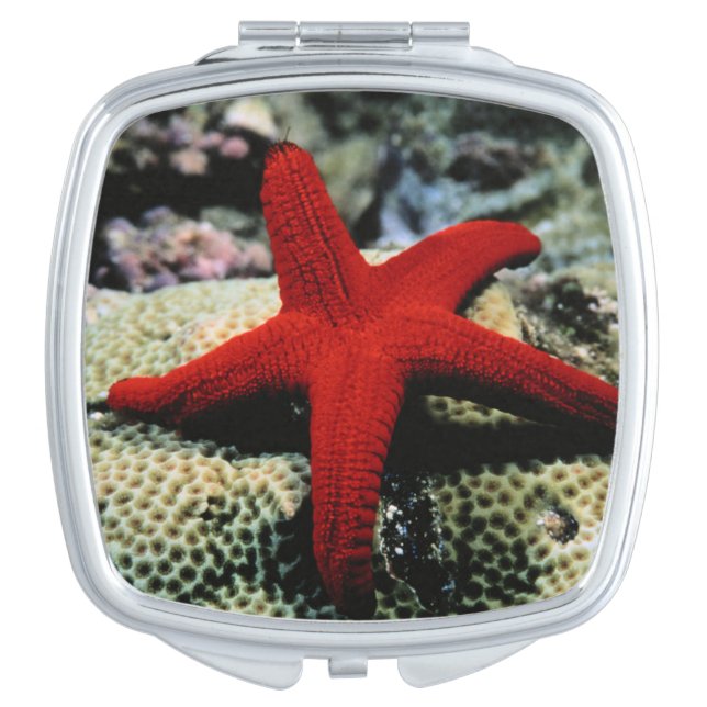Star Fish | Red Sea Vanity Mirror (Front)