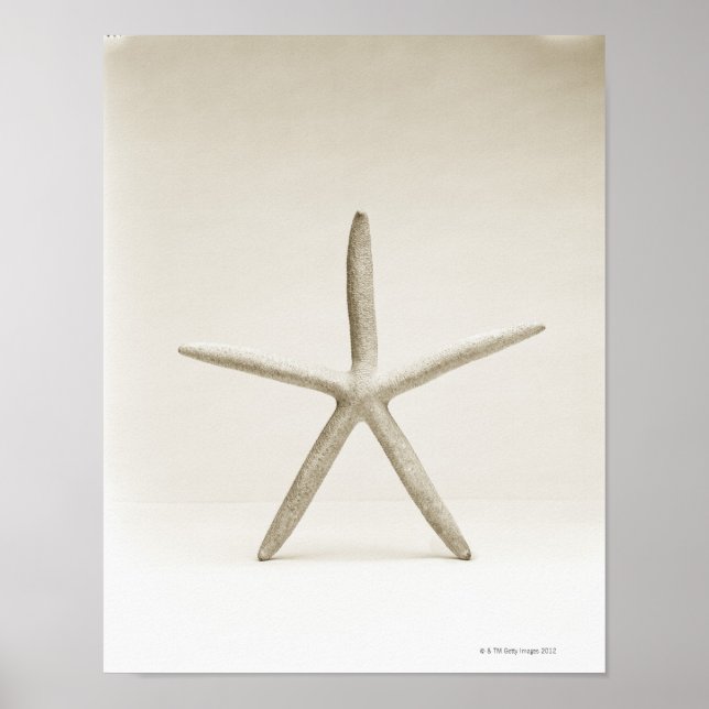 Star fish shell poster (Front)