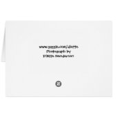 Star Fish, Shell & Urchin Card (Back Horizontal)
