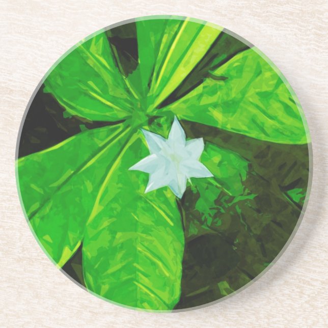 Star Flower a White Wildflower Abstract Drink Coaster (Front)