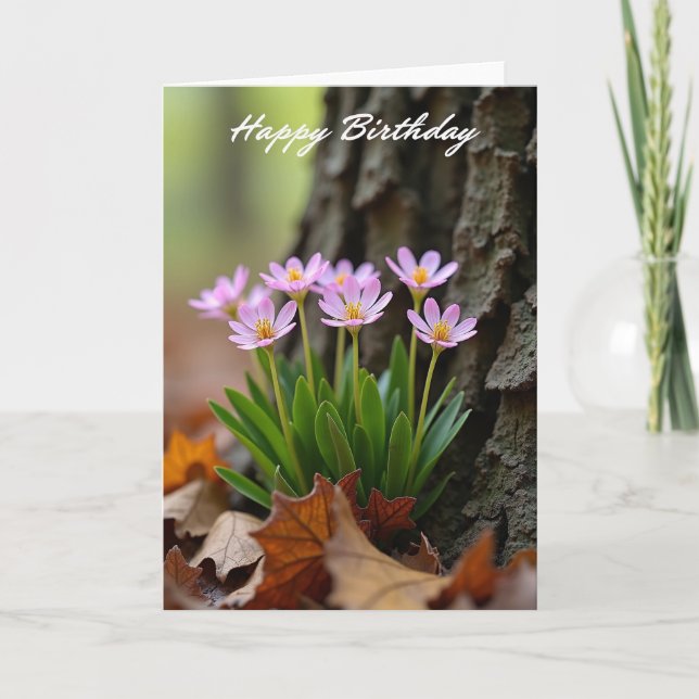 Star Flower Birthday Card (Front)