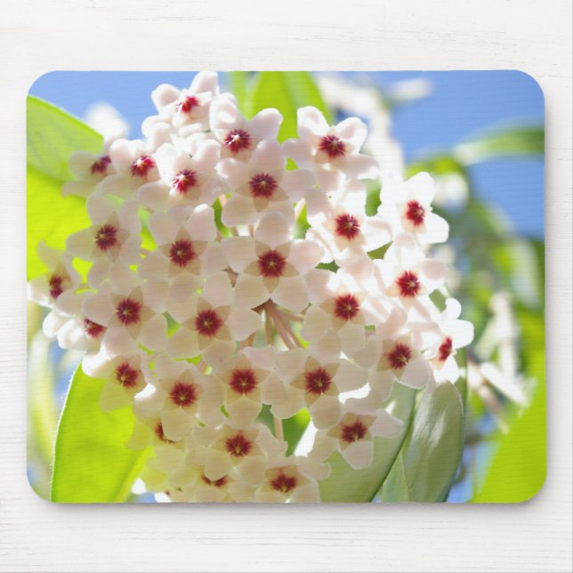 Star Flower Mousepad (Front)