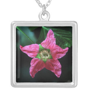 STAR FLOWER NECKLACE